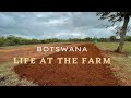 Living at the farm #botswana #tourism#farming