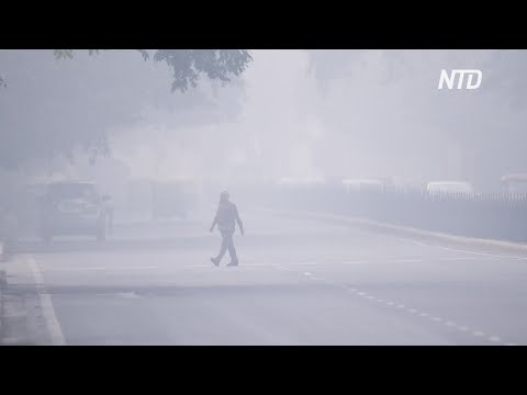В Нью-Дели чиновники и экологи спорят о причинах смога