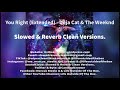 You Right (Extended) (Slowed) [Super Clean Version] - Doja Cat & The Weeknd