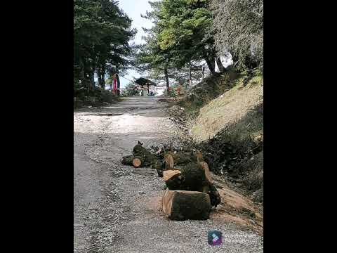 Εθνικός Δρυμός Πάρνηθας