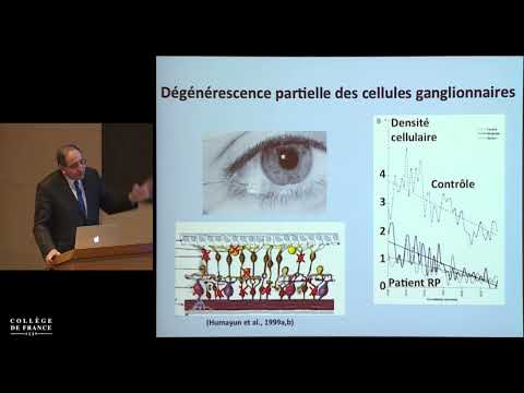 Voir encore. La restauration visuelle en perspectives (11) - José-Alain Sahel (2015-2016)