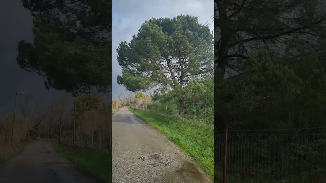 Cheias no Baixo Mondego - Causas e consequências