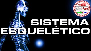 Sistema esquelético/óseo | Descarga Powerpoints x MEGA y DRIVE Sistema esquelético/óseo | Descarga Powerpoints x MEGA y DRIVE