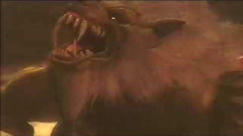 NGS2 - Volf MN KG Loop