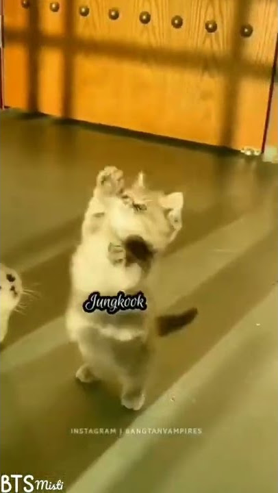 v.......... 🤣🤣🤣🤣🤣 like subscribe comment and share please ❤️😘