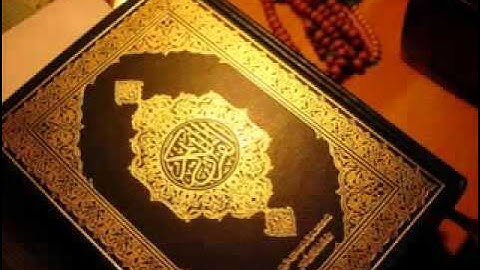 سورة البينة   القارئ هاني الرفاعي