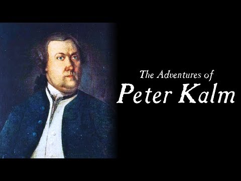 LIVE - The Scattered Brain of Peter Kalm - LIVE - The Scattered Brain of Peter Kalm