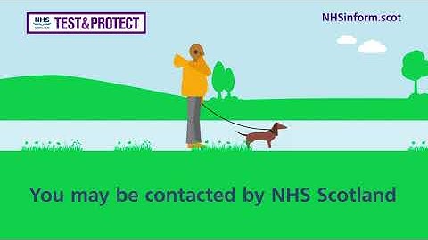 Test and Protect - Self-isolate when contacted to stop the spread of coronavirus