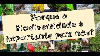 Porque a Biodiversidade é importante para nós?