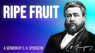 Ripe Fruit (Micah 7:1) - Charles Spurgeon Sermon