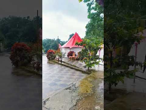 Nature’s Wake-up Call #360camera by The World Whisperer