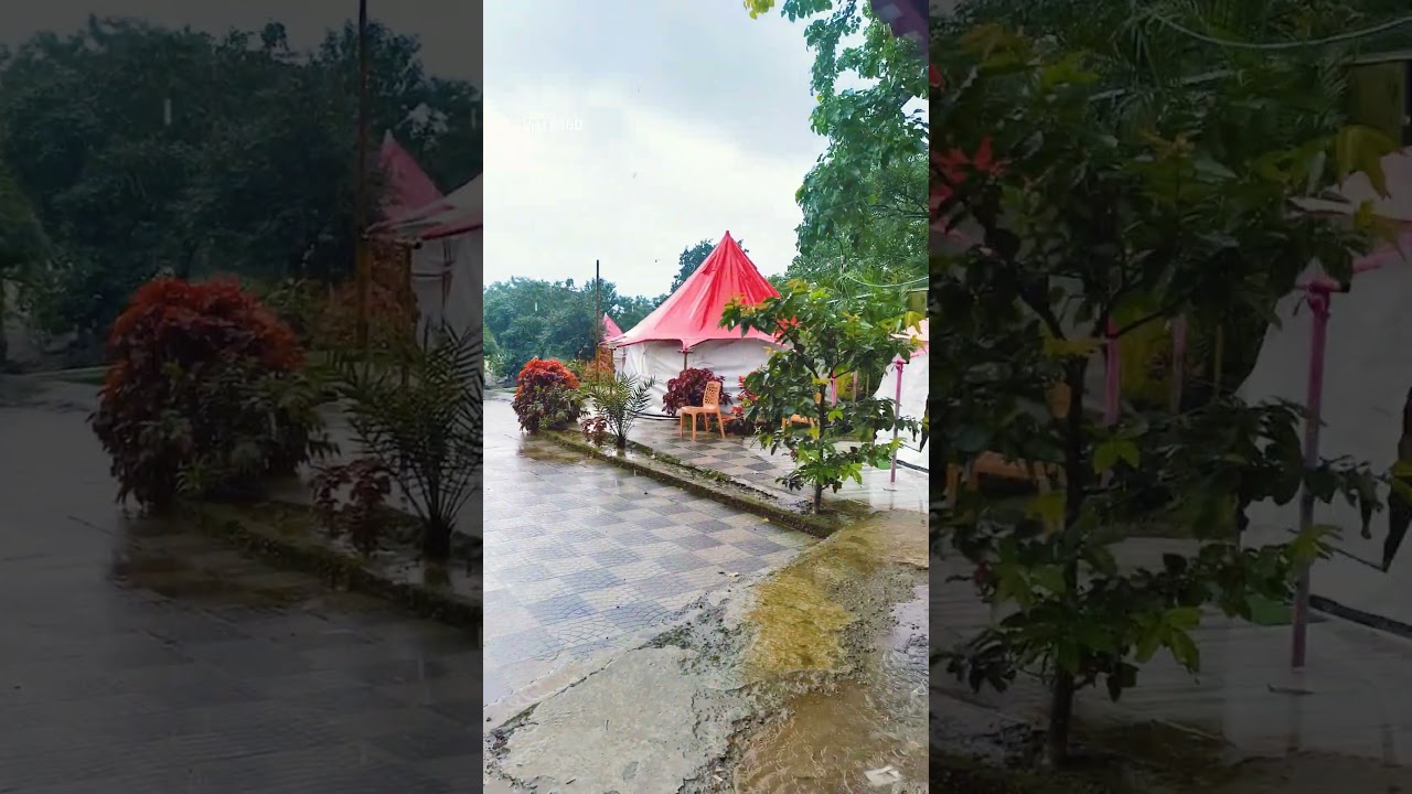 Nature’s Wake-up Call #360camera — The World Whisperer YouTube video