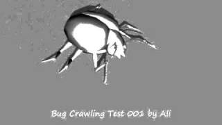 Bug Crawl Test