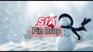 SIA - PIN DROP lyrics | lirik lagu terjemahan Indonesia