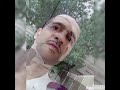 بيبه السيح ليث الغابة العراب شماس الشمس