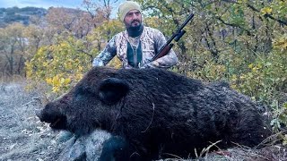 Domuzlarin Ortasinda Kaldik Nerdeyse Beni̇ Bi̇çecekti̇ Wi̇ld Boar Hunti̇ng Охота На Кабана صيد الخنازير
