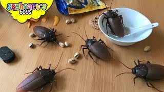 COCKROACH INVASION in our house! Skyheart Daddy swatting battle giant cockroaches insects toys