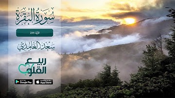 ايه الكرسي بصوت سعد الغامدي من سورة البَقَرَة الآية 255 | القارئ سعد الغامدي