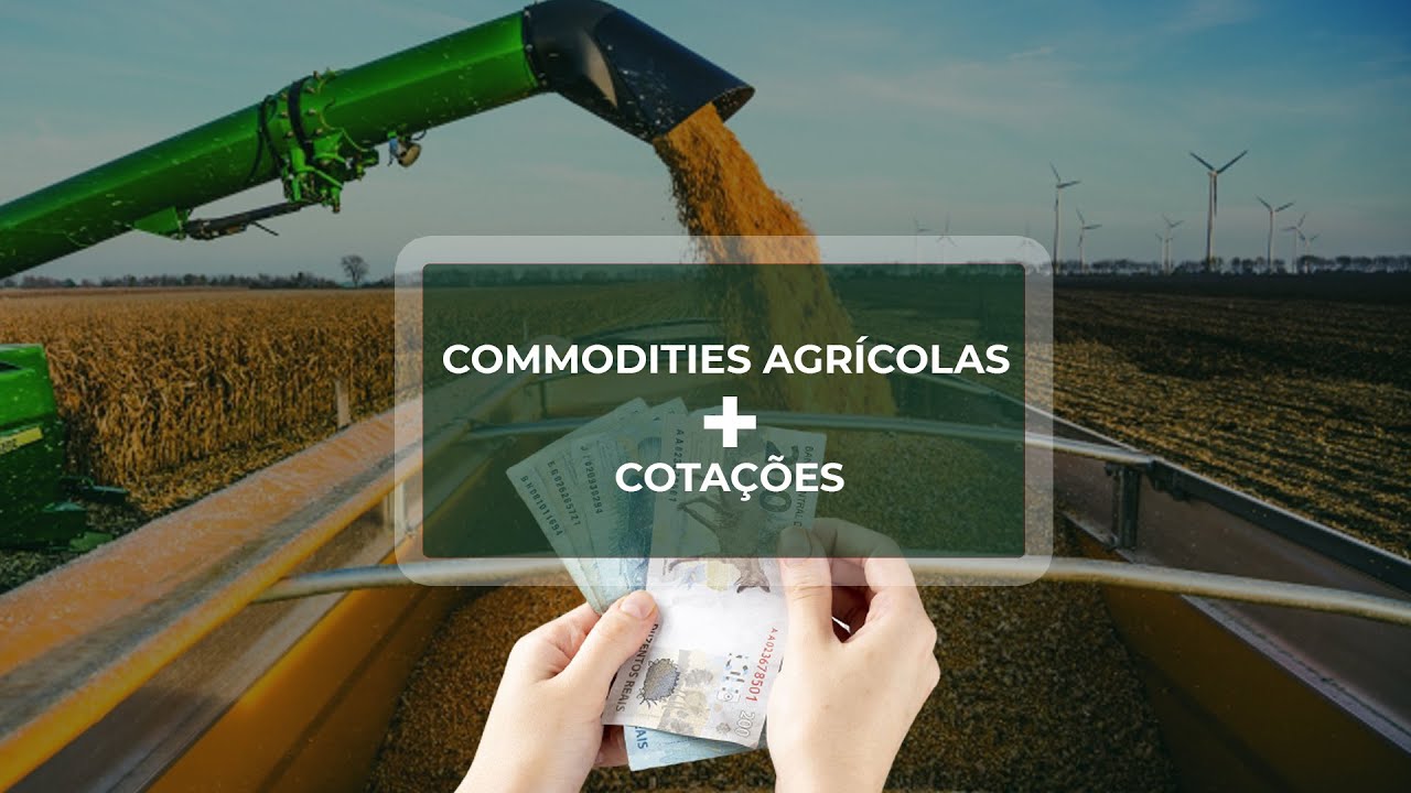 COMMODITIES: Sem referência das Bolsas Internacionais, mercado brasileiro fica com poucas oscilações