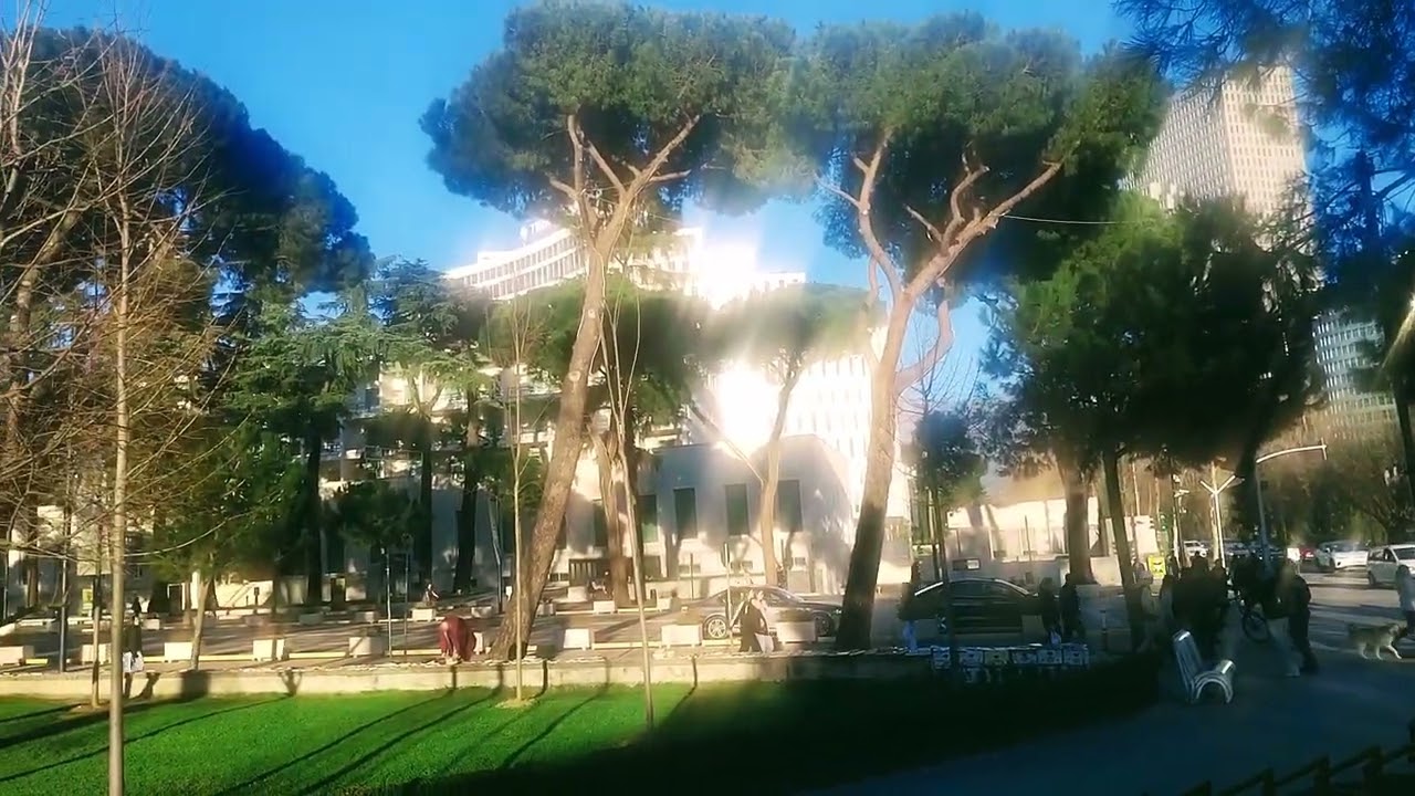 It's  blossoms  spring  time   😍  (tai wan park tirana)