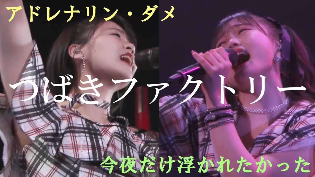 河西結心 & 八木琹バースデーイベント 2024DVD DVD 河西結心/八木栞 バースデーイベント2024 つばきファクトリー