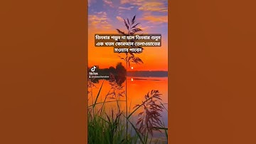 সূরা ইখলাস سورة الإخلاص #foryou