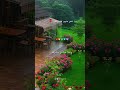 يا نفس ك ف ي عنهم وارتقي أنشودة تهز القلب وت عيدك إلى الله اكسبلور