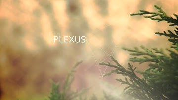 Plexus Title Animation