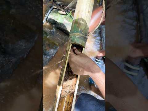 Abishek’s 🫵 finger got stuck 😀😝 while cleaning the bamboo shower… #bamboo #trending #viralshorts