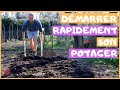  dmarrer rapidement son potager 