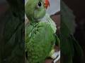 #viral #viralvideo #baby