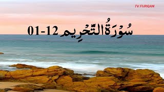 Anas Muhammad | Surah At-Tahrim (01-12)  سُوْرَۃُ التَّحْرِيم with Urdu/English translation