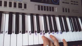 Tip Tip Barsa Paani|Harmonium|Piano| KeyboardTutorial|Step by Step|Easy|Instrumental chords
