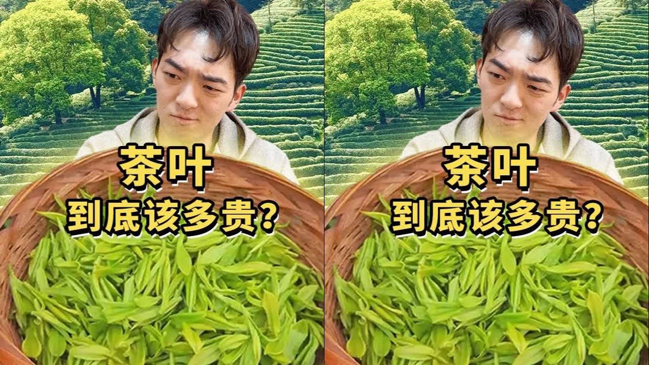 茶葉到底貴在哪？100倍價差全靠一張嘴？盒馬實測揭秘…水太深！ #美食 #美食探店 #美食测评 #美食分享 #探店