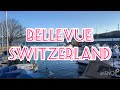 BELLEVUE - THE LOVELY SWISS TOWN WITH AMAZING VIEWS ON THE LEMAN LAKE AND THE MAJESTIC MOUNTAINS