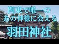 超！希少&特殊な神様に会える♪社殿にパワーが溢れている《羽田神社》#羽田神社 #桜井識子 #開運に結びつく神様のおふだ #牛頭天王 #羽田空港