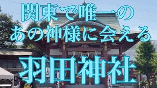 超！希少&特殊な神様に会える♪社殿にパワーが溢れている《羽田神社》#羽田神社 #桜井識子 #開運に結びつく神様のおふだ #牛頭天王 #羽田空港