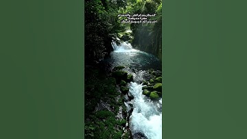 الشيطان يعدكم الفقر والله يعدكم مغفرة | تلاوة خاشعة تبعث الطمأنينة 💚#القرآن_الكريم #اكسبلور #دعاء