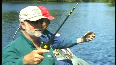 Cajun Quest, Mike Rabalais & JB Salter, Bayou Alci...