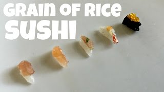 Single Grain of Rice SUSHI - Kurashiki Central Hospital Challenge