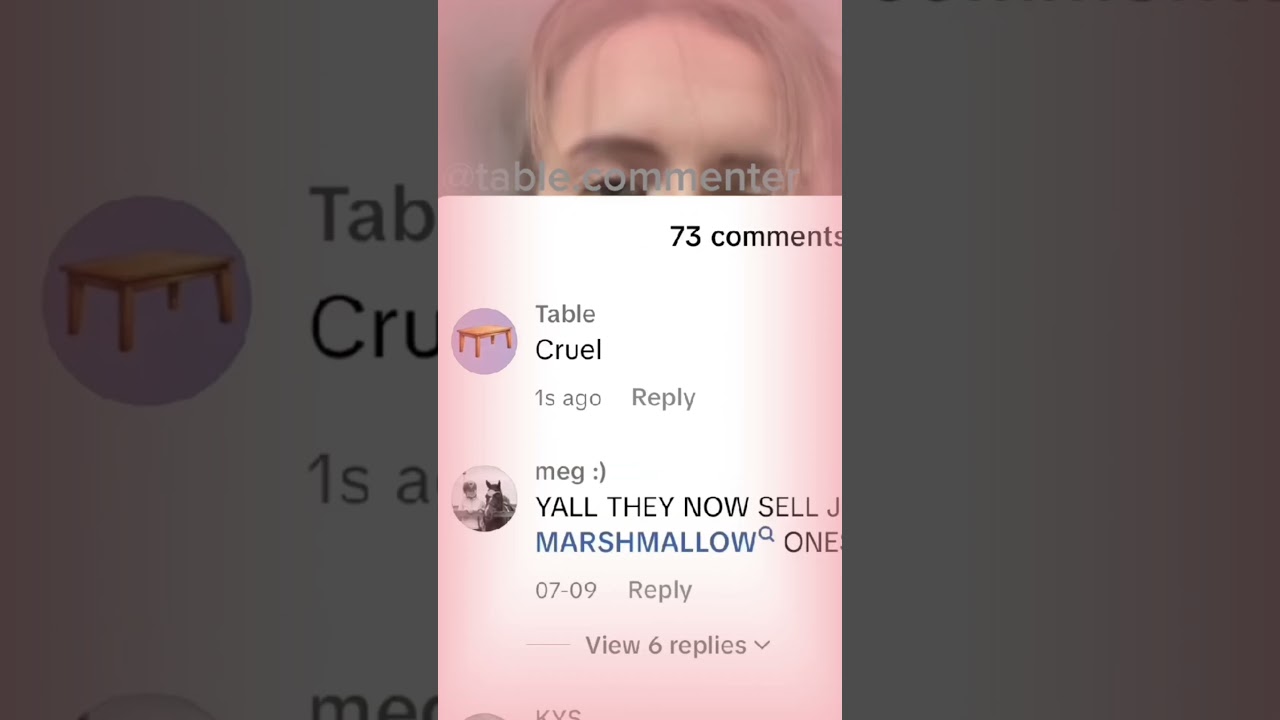 I Love You So - The Walters 