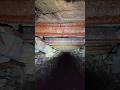 Don't Look Up !! #mines #history #abandonedplaces #underground