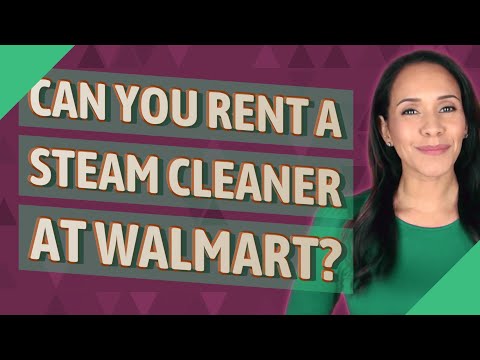 Steam Cleaner For Carpet Walmart