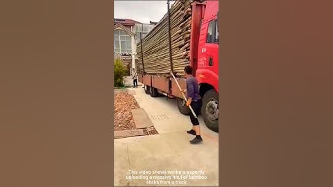 Bamboo Unloading: Efficient Handling with Skilled Teamwork