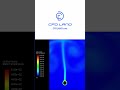Natural Convection of Hot Cylinder #short #ansys #engineering #fluent #cfd #science #physics