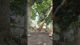 panatilihing malinis ang kapaligiran upang ahas ay maiwasan😅