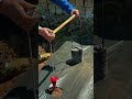 Charcoal Thermal Hole Punching: Preparing Plastic-Mulched Planting Beds! 🌿🔥 #farmoratv #nature #asmr
