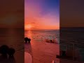 Beautiful destination maldives whatsapp status   maldives shorts