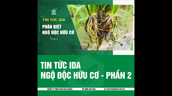 Ngộ độc hữu cơ là gì năm 2024