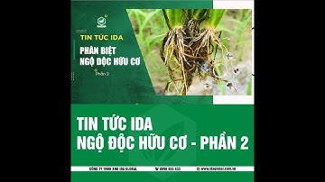 PHÂN BIỆT TRIỆU CHỨNG NGỘ ĐỘC HỮU CƠ VÀ NGỘ ĐỘC PHÈN